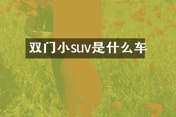 双门小suv是什么车