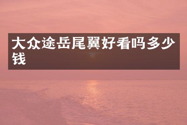 大众途岳尾翼好看吗多少钱