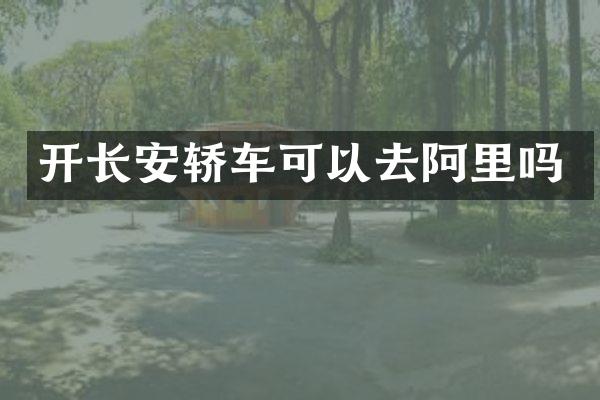 开长安轿车可以去阿里吗