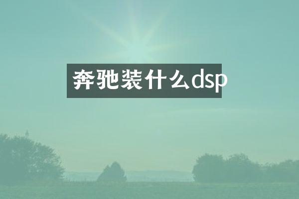 奔驰装什么dsp