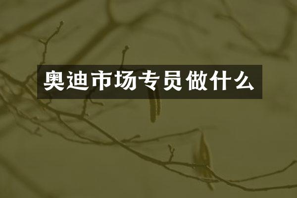 奥迪市场专员做什么