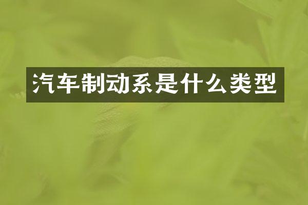 汽车制动系是什么类型