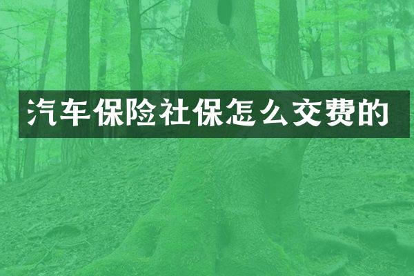 汽车保险社保怎么交费的