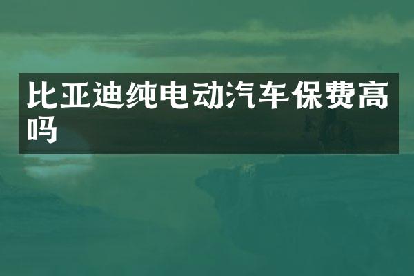 比亚迪纯电动汽车保费高吗