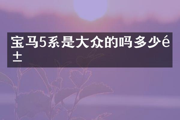宝马5系是大众的吗多少钱