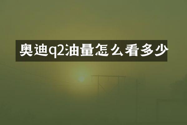 奥迪q2油量怎么看多少