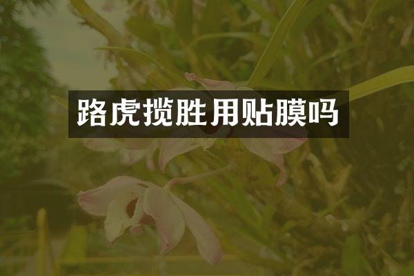 路虎揽胜用贴膜吗