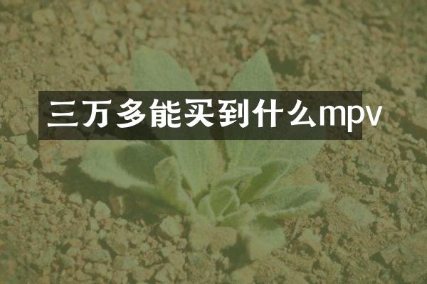 三万多能买到什么mpv