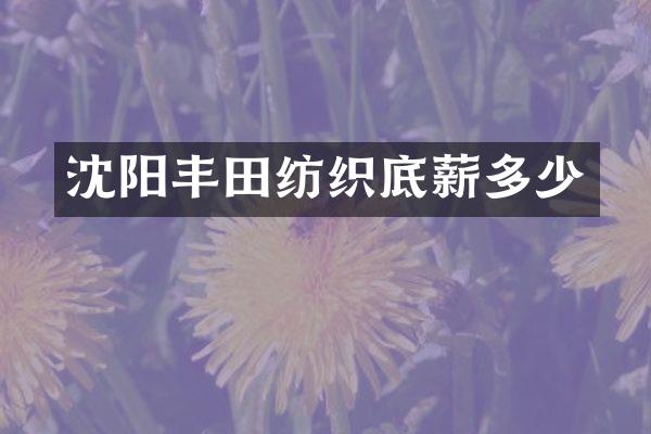 沈阳丰田纺织多少