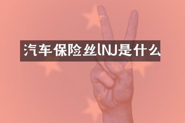 汽车保险丝lNJ是什么