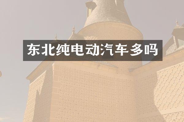 东北纯电动汽车多吗