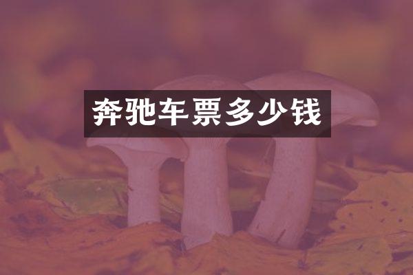 奔驰车票多少钱