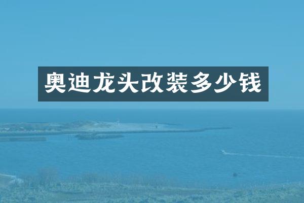 奥迪龙头改装多少钱