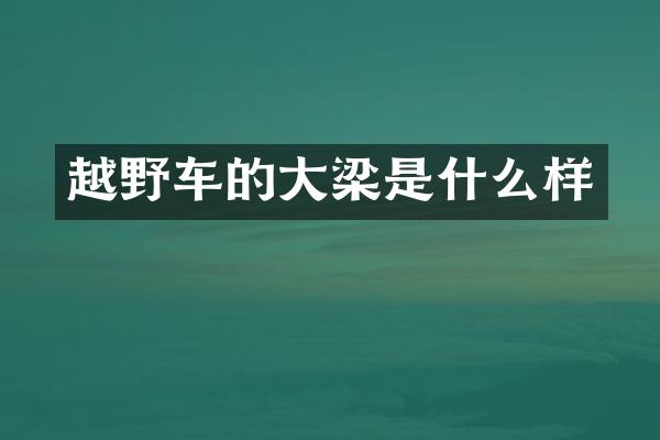 越野车的大梁是什么样
