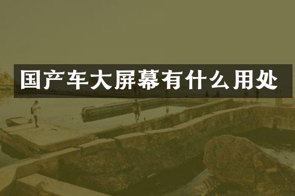 国产车大屏幕有什么用处