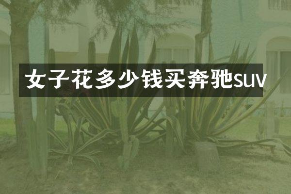 女子花多少钱买奔驰suv