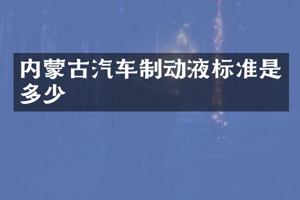 内蒙古汽车制动液标准是多少