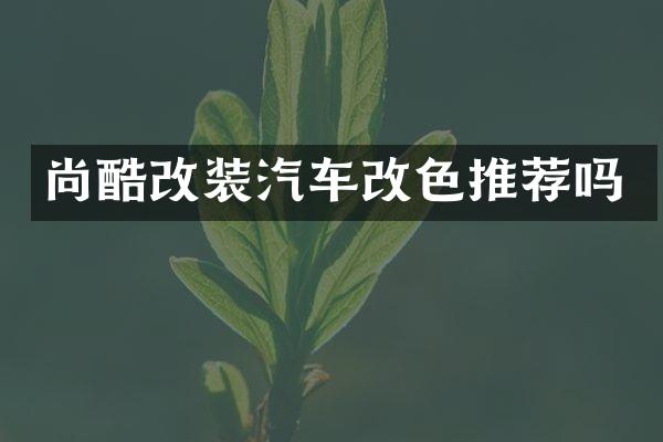 尚酷改装汽车改色推荐吗