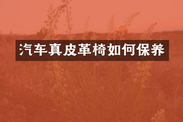 汽车真皮革椅如何保养