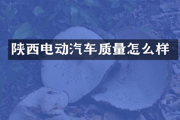 陕西电动汽车质量怎么样