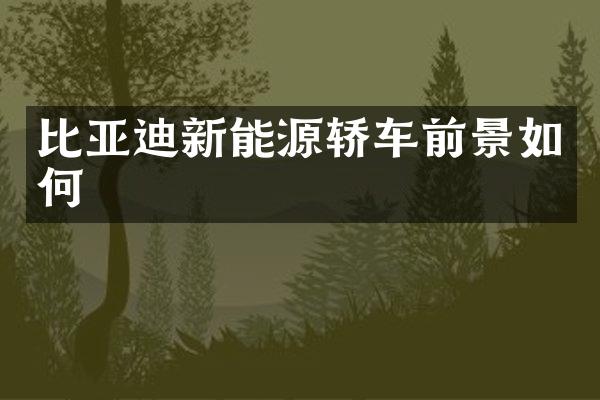 比亚迪新能源轿车前景如何