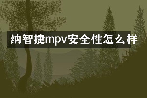 纳智捷mpv安全性怎么样