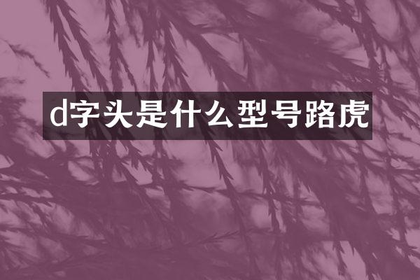 d字头是什么型号路虎