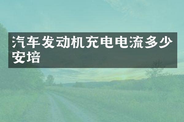 汽车发动机充电电流多少安培