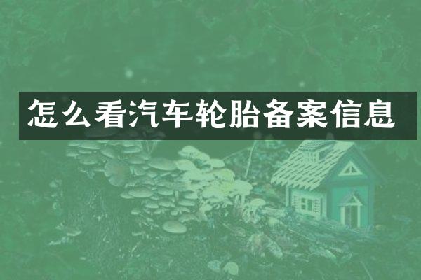 怎么看汽车轮胎备案信息