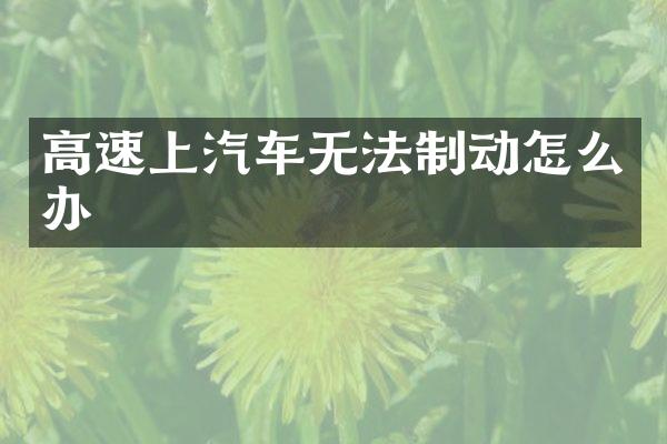 高速上汽车无法制动怎么办
