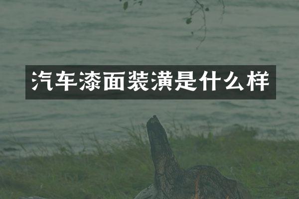 汽车漆面装潢是什么样