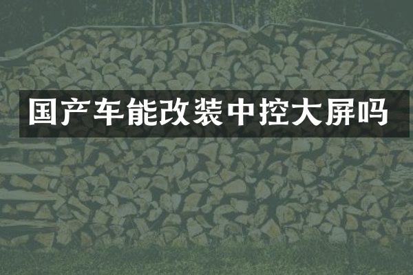 国产车能改装中控大屏吗