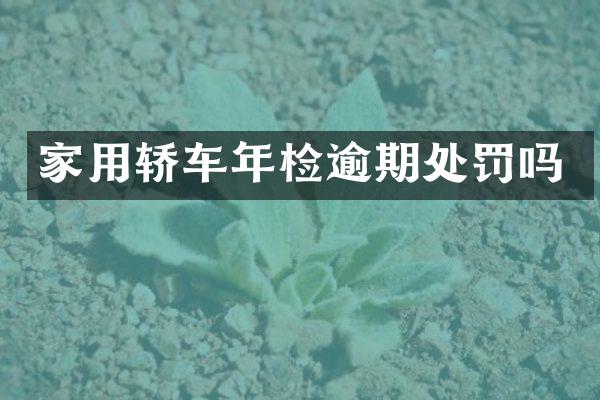 家用轿车年检逾期处罚吗