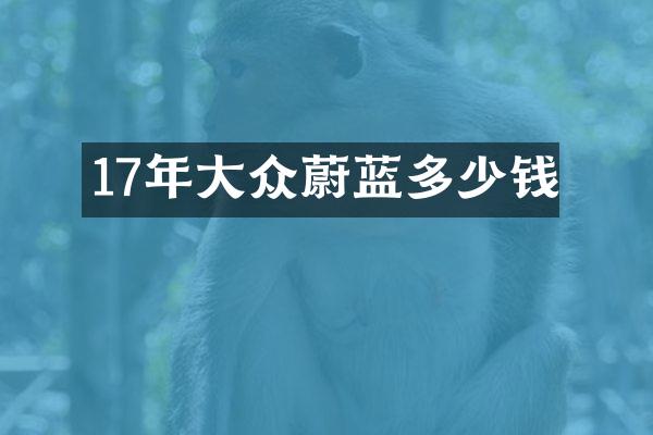 17年大众蔚蓝多少钱