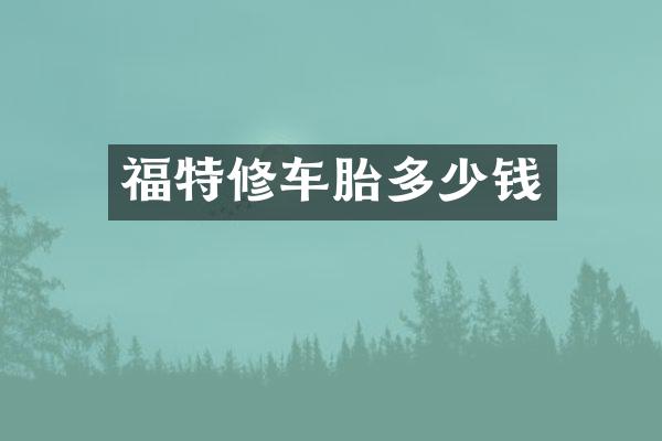 福特修车胎多少钱