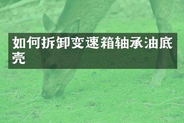 如何拆卸变速箱轴承油底壳