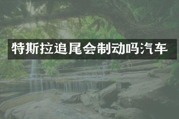 特斯拉追尾会制动吗汽车