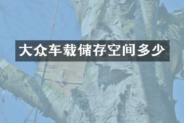 大众车载储存空间多少