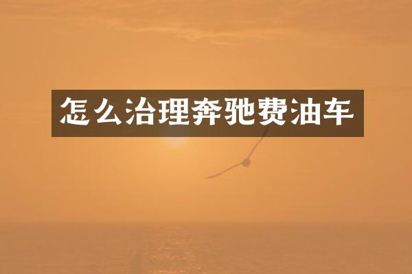 怎么治理奔驰费油车