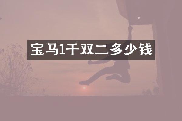 宝马1千双二多少钱