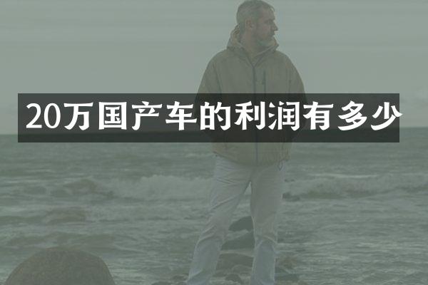 20万国产车的利润有多少