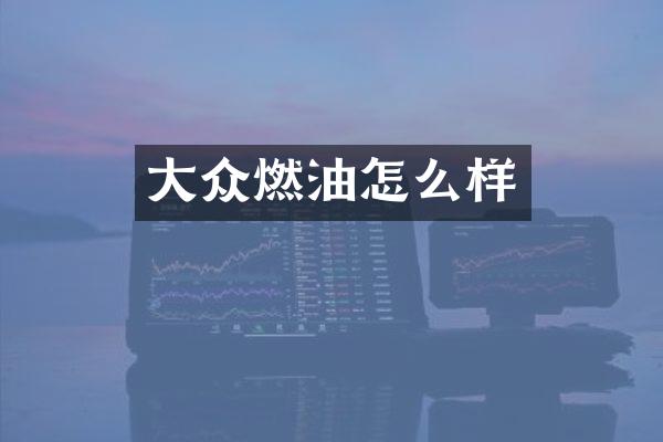 大众燃油怎么样