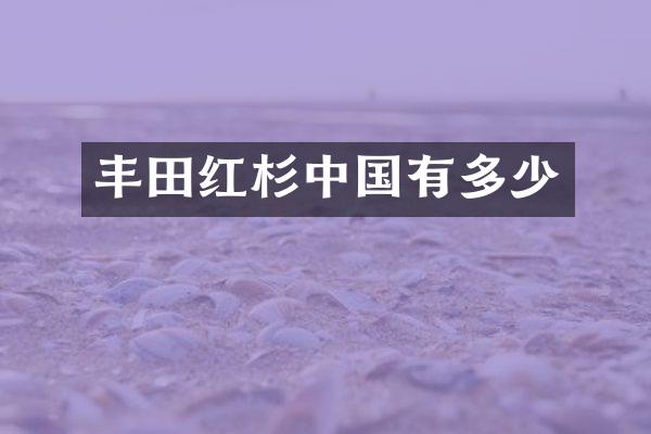 丰田红杉中国有多少