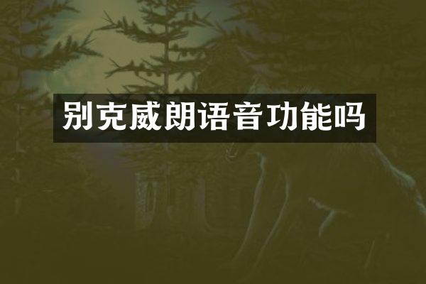 别克威朗语音功能吗