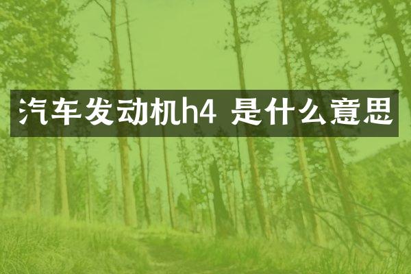 汽车发动机h4 是什么意思