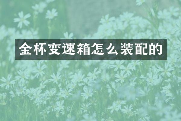 金杯变速箱怎么装配的