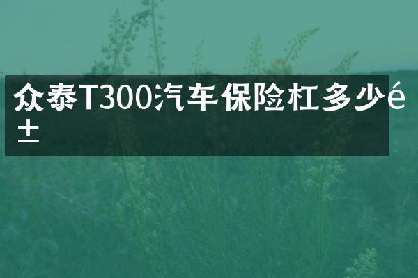 众泰T300汽车保险杠多少钱