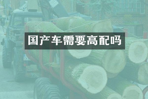 国产车需要高配吗