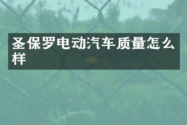 圣保罗电动汽车质量怎么样