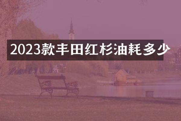 2023款丰田红杉油耗多少